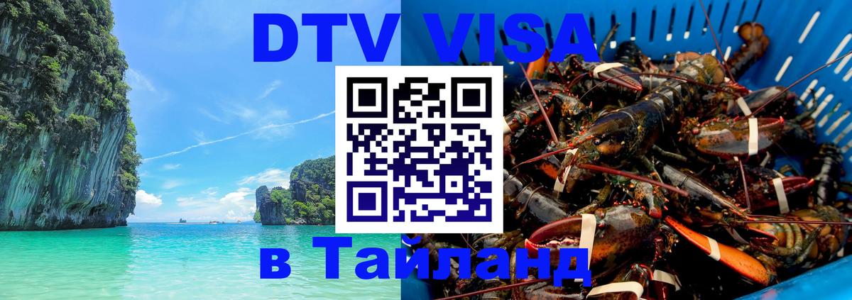 Оформление DTV визы под ключ: стоимость и тарифы, только загранпаспорт - 21.11.2025 